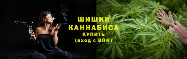 молекула духа Балахна