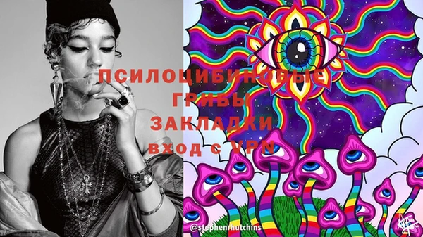 молекула духа Балахна