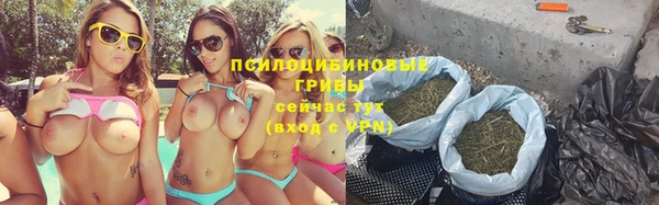 молекула духа Балахна