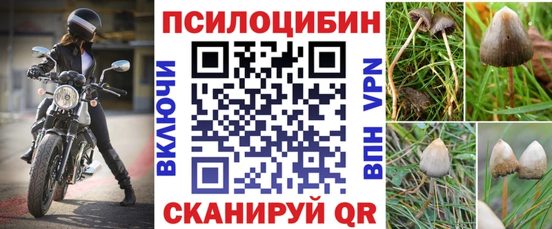 Галлюциногенные грибы мухоморы  Бобров 